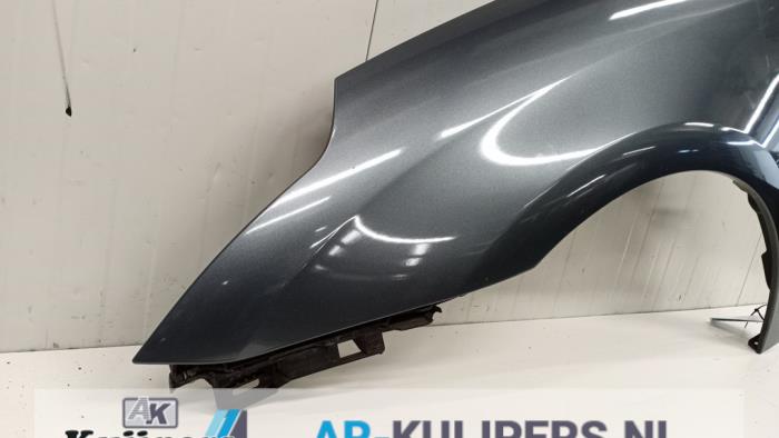 Scherm links-voor - Citroen C4