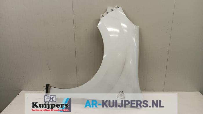 Scherm links-voor - Renault Kangoo