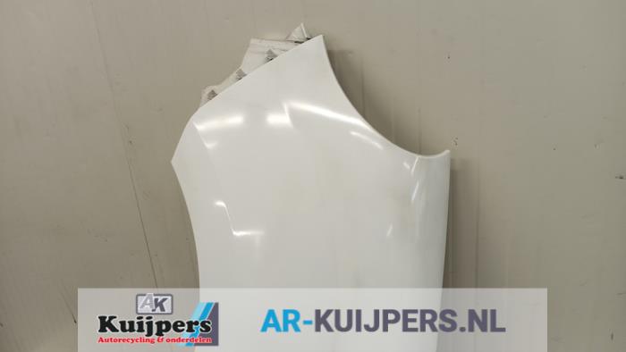 Scherm links-voor - Renault Kangoo