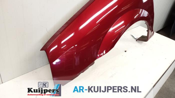 Scherm links-voor - Kia Carens