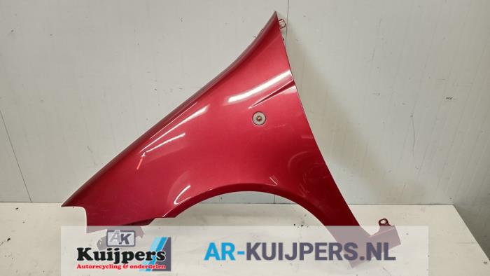 Scherm links-voor - Fiat Punto