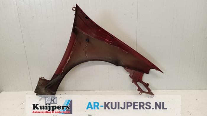 Scherm links-voor - Fiat Punto