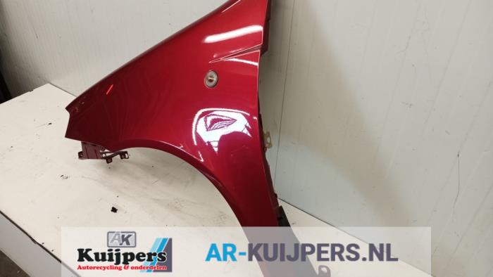 Scherm links-voor - Fiat Punto