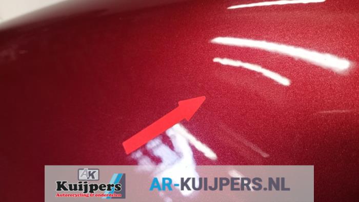 Scherm links-voor - Fiat Punto