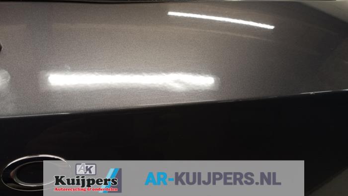 Achterklep - Renault Clio