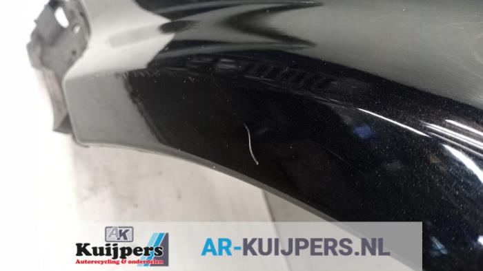Scherm links-voor - Volkswagen Passat