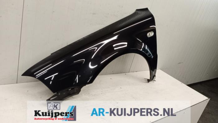 Scherm links-voor - Volkswagen Passat