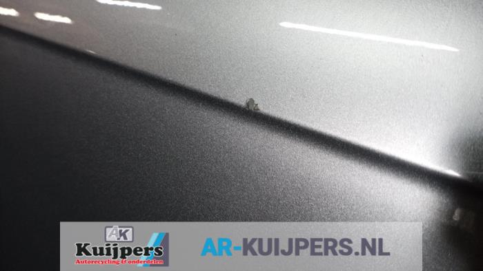Portier 4Deurs links-achter - Audi A4