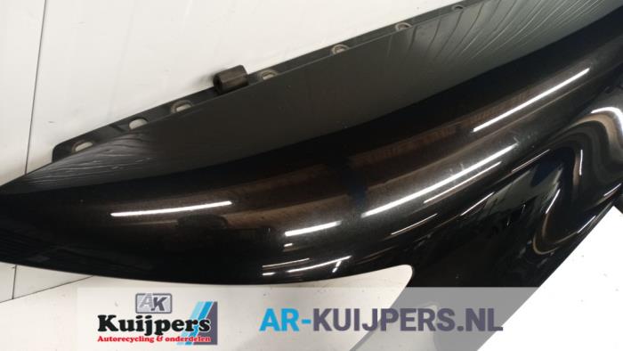 Scherm links-voor - Volkswagen Phaeton
