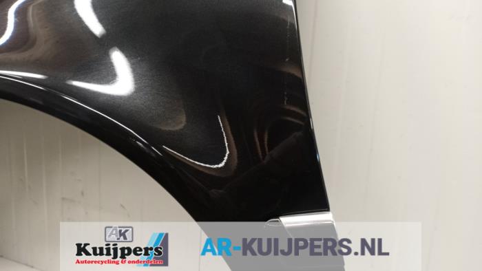 Scherm links-voor - Volkswagen Phaeton