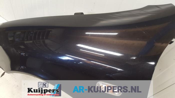 Scherm links-voor - Seat Leon