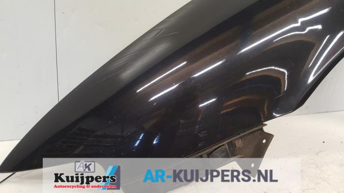 Scherm links-voor - Seat Leon