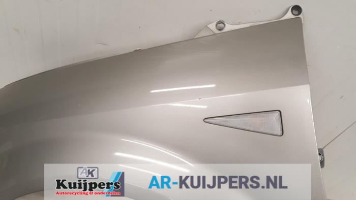 Scherm links-voor - Renault Megane Scenic