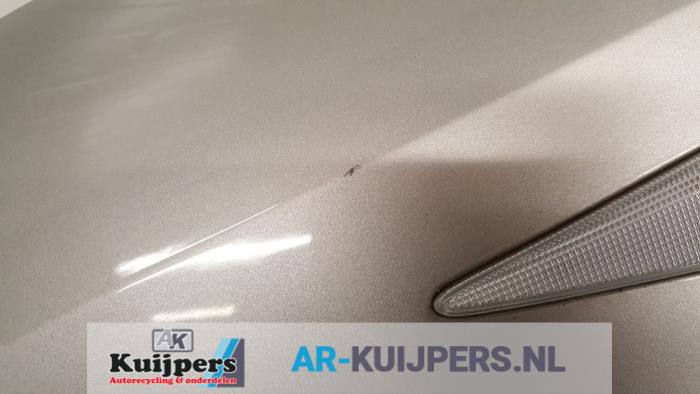 Scherm links-voor - Renault Megane Scenic