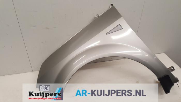 Scherm links-voor - Renault Megane Scenic