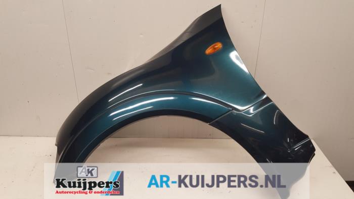 Scherm links-voor - Mitsubishi Pajero