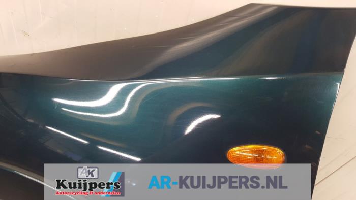 Scherm links-voor - Mitsubishi Pajero