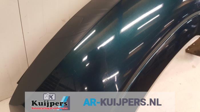Scherm links-voor - Mitsubishi Pajero