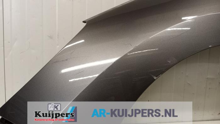 Scherm links-voor - Peugeot 308