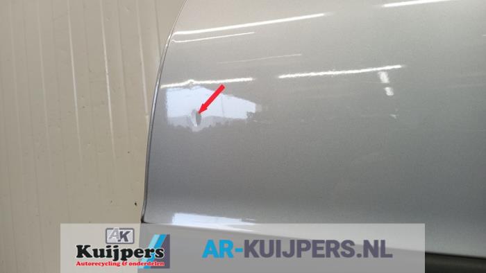 Portier 4Deurs links-achter - Peugeot 206
