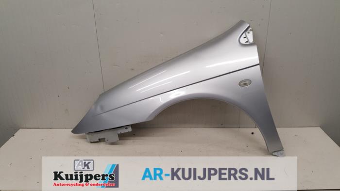 Scherm links-voor - Citroen C5