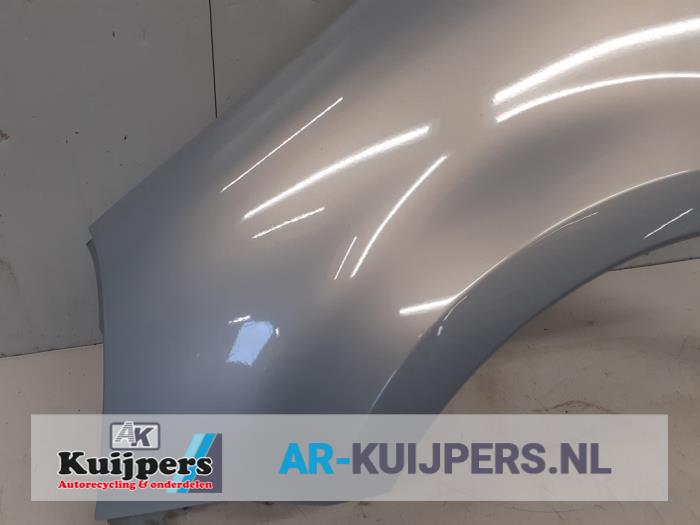 Scherm links-voor - Renault Modus