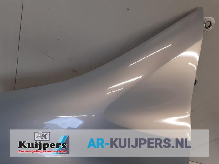 Scherm links-voor - Renault Modus