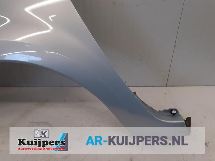 Scherm links-voor - Renault Modus