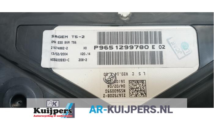 Kilometerteller KM - Peugeot 307