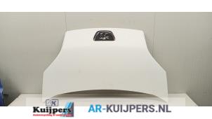 Gebruikte Motorkap Peugeot Bipper (AA) 1.4 HDi Prijs € 95,00 Margeregeling aangeboden door Autorecycling Kuijpers