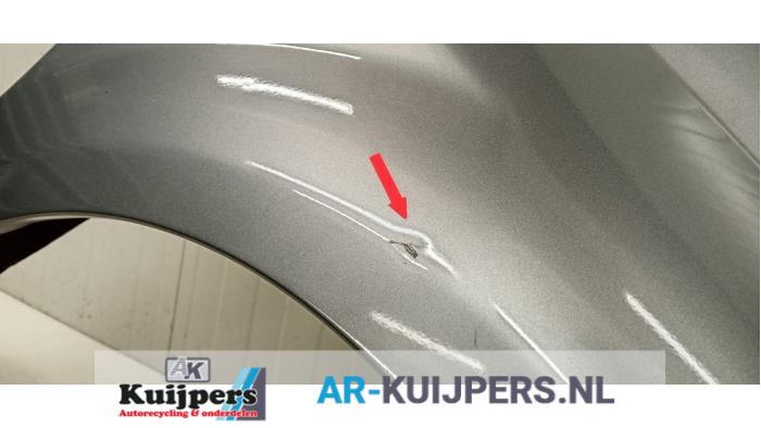 Scherm rechts-voor - Fiat Punto Grande