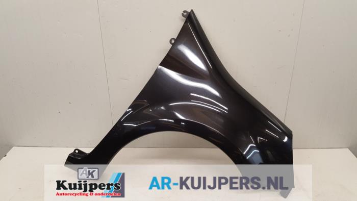 Scherm rechts-voor - Renault Modus