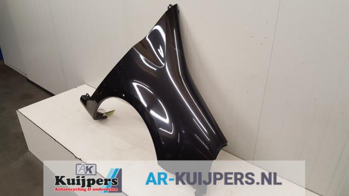 Scherm rechts-voor - Renault Modus