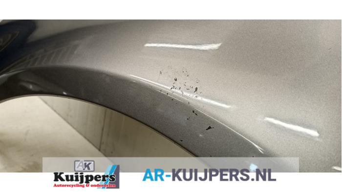 Scherm links-voor - Cadillac BLS