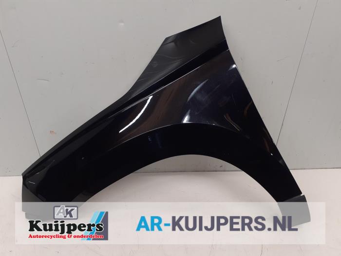 Scherm links-voor - Skoda Karoq