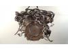 Motor van een Audi RS 6 (C5), 2002 / 2005 RS6 4.2 V8 40V Biturbo, Sedan, 4Dr, Benzine, 4.172cc, 331kW (450pk), 4x4, BCY, 2002-07 / 2005-04, 4B4 2003
