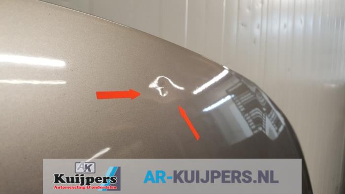 Motorkap - Citroen C3 Picasso