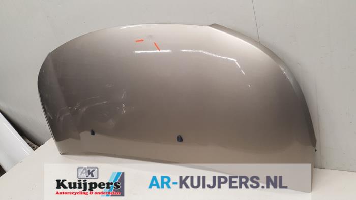 Motorkap - Citroen C3 Picasso