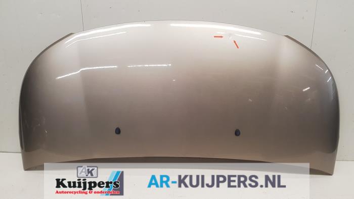 Motorkap - Citroen C3 Picasso