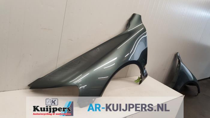 Scherm links-voor - Volkswagen Touareg