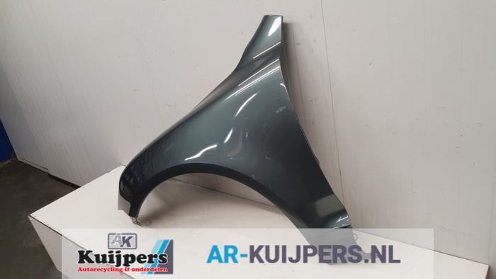Scherm links-voor - Volkswagen Touareg