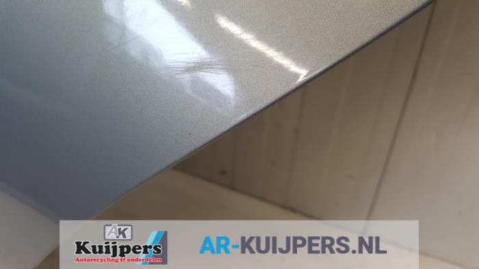Portier 4Deurs links-achter - BMW 3-Serie