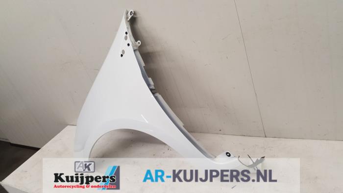 Scherm links-voor - Renault Clio