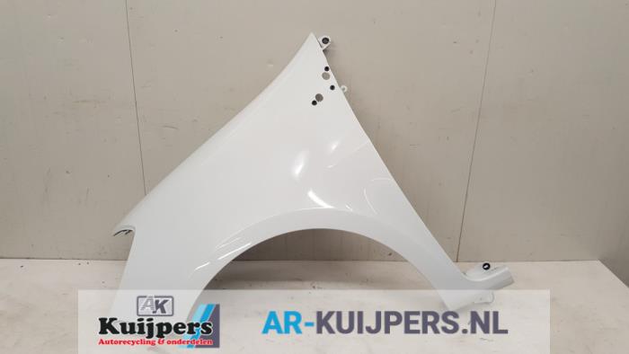 Scherm links-voor - Renault Clio