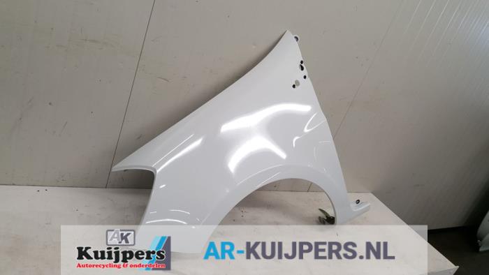 Scherm links-voor - Renault Clio