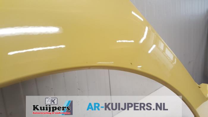 Scherm links-voor - Renault Kangoo