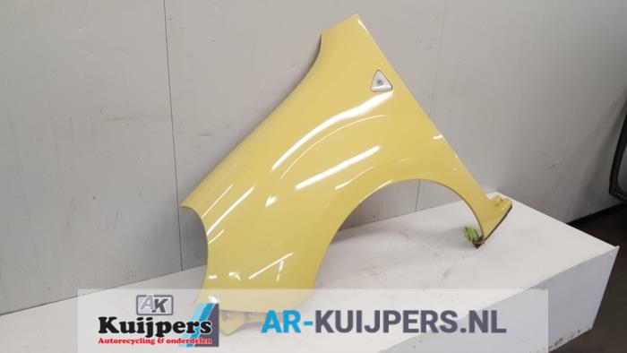 Scherm links-voor - Renault Kangoo