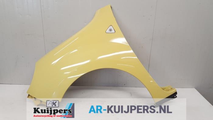 Scherm links-voor - Renault Kangoo