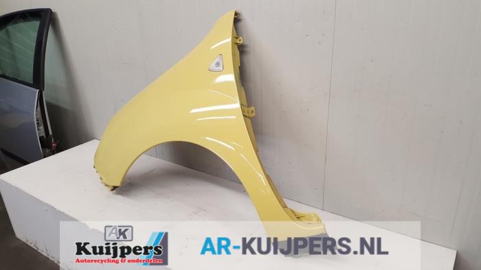 Scherm links-voor - Renault Kangoo