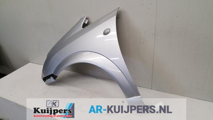 Scherm links-voor - Opel Meriva